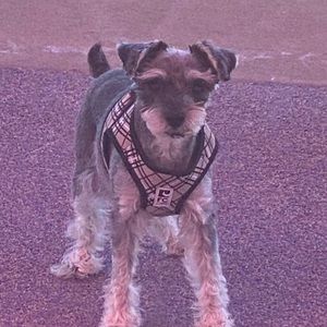 Meet your Posher, Celeste